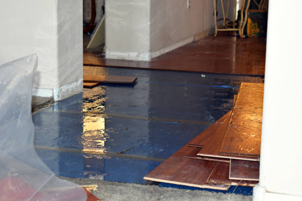 Professional Water Extraction technician working in West College Corner, IN